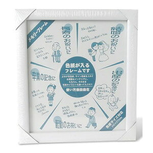 �C���^ MC-23SPN-W �F���z�� �z���C�g �ؐ��t���[�� �K���X�O�� �܏� IWATA SPN PICTURE FRAME
