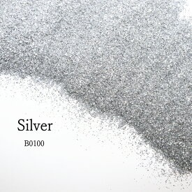 メール便送料無料［ glitter-pro ］業務用ラメフレーク ( シルバーB0100 ) ( 100g ) ラメパウダー / グリッター / 耐溶剤 / 塗装 / 吹付 / ハンドメイド / DIY