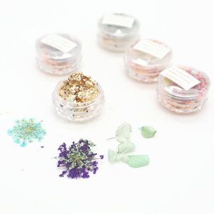 [im LALONA nhCt[zCZbg ( 4 ) lCA[g / Ԃт / WFlC / WANZT[