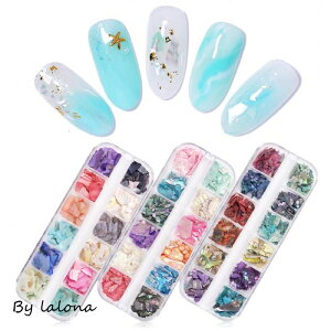 [i mLALONAnjAXJ[VFZbg ( 12F3 ) WFlC/lCA[g/Lk/NbVVF/W/Zt/WF/nhCh/lC