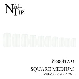 楽天市場 スクエア ネイルチップの通販