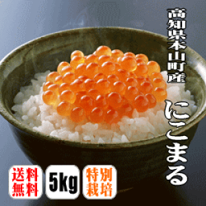 yzyߘa6NYzyʍ͔|āzyV̋ɂ܂@5kg yꌧE͕ʓrzyē{ReXgŗDG܎ܕāzyY[CT^f[z