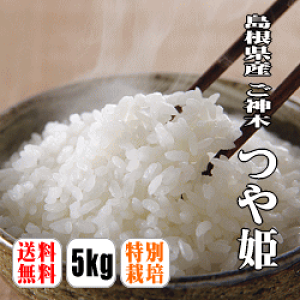 島根県産 つや姫の人気商品 通販 価格比較 価格 Com 島根県産 つや姫の人気商品 通販 価格比較 価格 Com