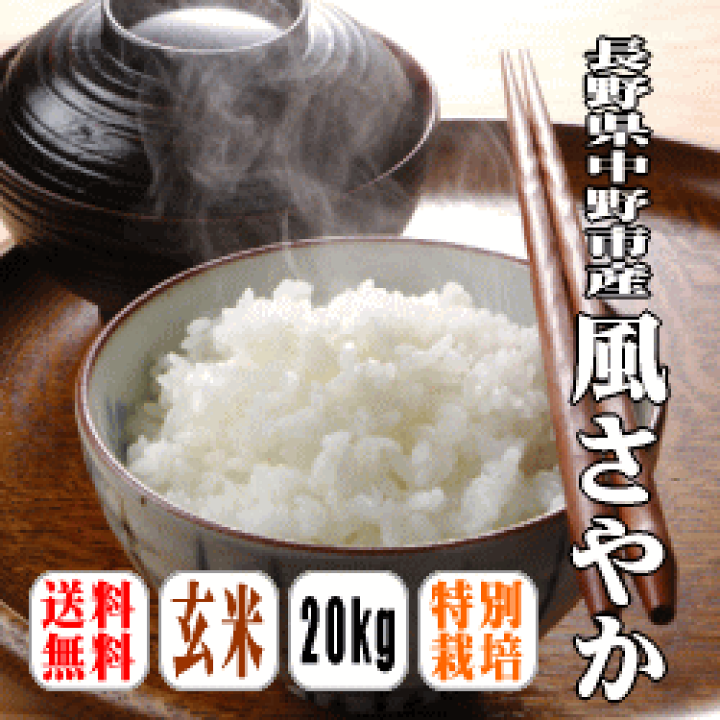 ∞ 玄米20kg 新米 風さやか 玄米20kg