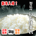 【満天★青空レストラン】【送料無料】【特別栽培米】【30年産】福井県産 いちほまれ 5kg 北海道・沖縄・離島は別途送】 30年デビュー 福井県 いちほまれ 特...