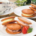 暑中見舞い 夏ギフト 安比高原アイスサンド8個セット クッキーアイス バニラ チョコ イチゴ