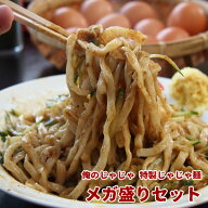 盛岡 じゃじゃ麺 俺のじゃじゃ 特製じゃじゃ麺6食入り メガ盛りセット 父の日 ギフト