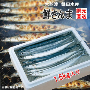 G \tJn O T} Yn cY N 500g~1.5kg