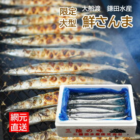 G 予約受付 三陸 大船渡 生サンマ 産地直送 鎌田水産 限定 大型鮮さんま 5尾～15尾
