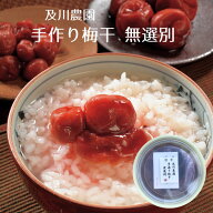 昔ながらのすっぱい梅干し 及川農園 手造り 梅干し 無選別 家庭用 お得 ご飯のお供