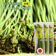 数量限定 期間限定 岩手 西和賀産 とろっとした西わらびの水煮 3袋・5袋セット