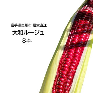 97Y ̔_ƒ ㏬ĉƂ낱 6{E8{ PF̂͂    Ƃ낱 zCgVR h`Fh[ a[W
