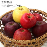 岩手のりんご 奥州市 江刺産りんご 菅野農園 旬のりんごボックス（MIX）3kg入り 江刺