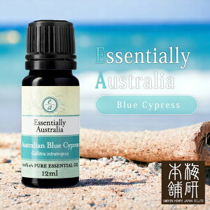 _ԌPT5{290`123:59^ {Ɛ̔ 萶Y GbZVIC I[XgA u[TCvX 12ml A}fBt[U[ A}IC VR  100 TCvX 