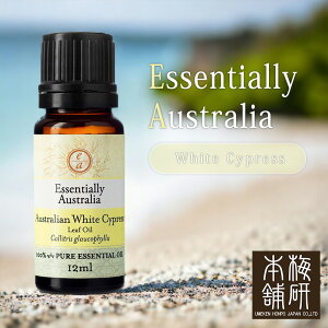 {Ɛ̔ 萶Y GbZVIC I[XgA zCgTCvX 12ml A}fBt[U[ A}IC VR  100 TCvX I[XgAY