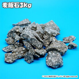 楽天市場 麦飯石 浄水の通販