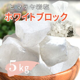 ＼期間限定PT5倍★28日0時〜1日23:59／ 岩塩 ヒマラヤ岩塩 バスソルト ホワイトソルト ブロック 5kg 入浴剤 業務用 ホワイト岩塩 アロマ アロマストーン まとめ買い