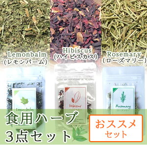 n[ueB[ Hׂ n[u XXZbg yz e5g v15g nCrXJX [Y}[ o[ hCn[u i  CC   eB[obO