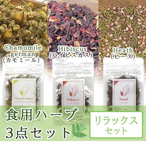 n[ueB[ Hׂ n[u bNXZbg yze5g v15g nCrXJX q[X J~[W[} hCn[u i  CC   eB[obO v[