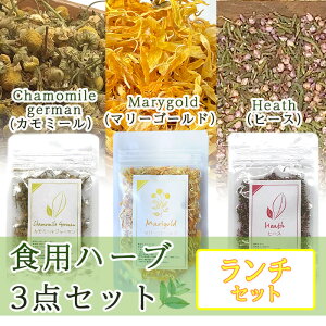 n[ueB[ Hׂ n[u `Zbg yz e5g v15g }[S[h q[X J~[W[} hCn[u i  CC   eB[obO