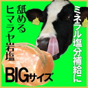 アニマルソルト　5-7kg　家畜用ヒマラヤ岩塩 【特大】【お徳用サイズ】【着後レビューで 100円OFFクーポン プレゼント】