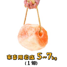 ＼SALE延長！PT5倍★11日5時〜16日23:59／ アニマルソルト　5-7kg　家畜用 ヒマラヤ 岩塩 【特大】【お徳用サイズ】 ロープ付き ミネラル 動物 家畜 牛 豚 馬 羊 ヤギ ペット 塩分 補給 熱中症対策