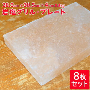 _SSPT5{420`111:59^ q}≖O 205mm × 305mm × 40mm 5.5kg@8Zbg ≖v[g ē Ă BBQ O ≖ q}≖ AEghA Lv O 