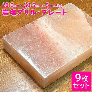 yngŘbIzq}≖O 205mm × 305mm × 50mm 7kg 9Zbg ≖v[g ē Ă BBQ O ≖ q}≖ AEghA Lv O 