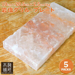 yngŘbIz_SSPT5{420`111:59^ q}≖O 100mm × 205mm × 25mm 1kg E5 ≖v[g ē Ă BBQ O ≖ q}≖ AEghA Lv ObY O