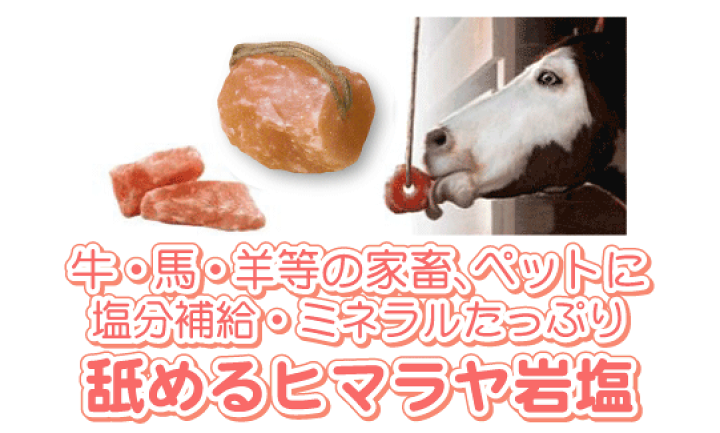 楽天市場】＼PT5倍☆19日20時〜26日1:59／ 家畜用ヒマラヤ岩塩