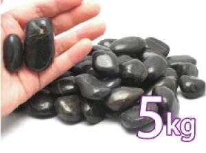 yGXezyzbgXg[z  5kg 3-10cm oTg EBXg[ ycz ʎ VR Xg[Zs[ Zs[ nCA T }bT[W  ObY