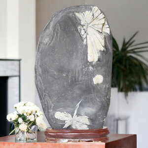 _PT5{ԉ1110`1523:59^ eԐ No.234 Ϗܗp z VR VR  CeA  肢 p[Xg[ Xs`A  NTX}Xg[