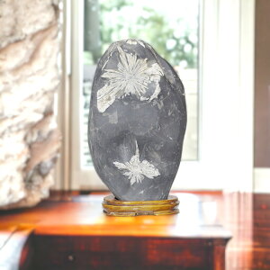 _PT5{ԉ1110`1523:59^ eԐ No.262 Ϗܗp z VR VR  CeA  肢 p[Xg[ Xs`A  NTX}Xg[