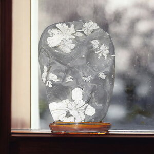 _PT5{ԉ1110`1523:59^ eԐ No.263 Ϗܗp z VR VR  CeA  肢 p[Xg[ Xs`A  NTX}Xg[