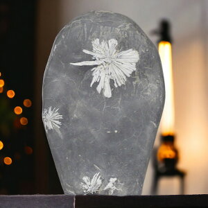 _PT5{ԉ1110`1523:59^ eԐ No.282 Ϗܗp z VR VR  CeA  肢 p[Xg[ Xs`A  NTX}Xg[