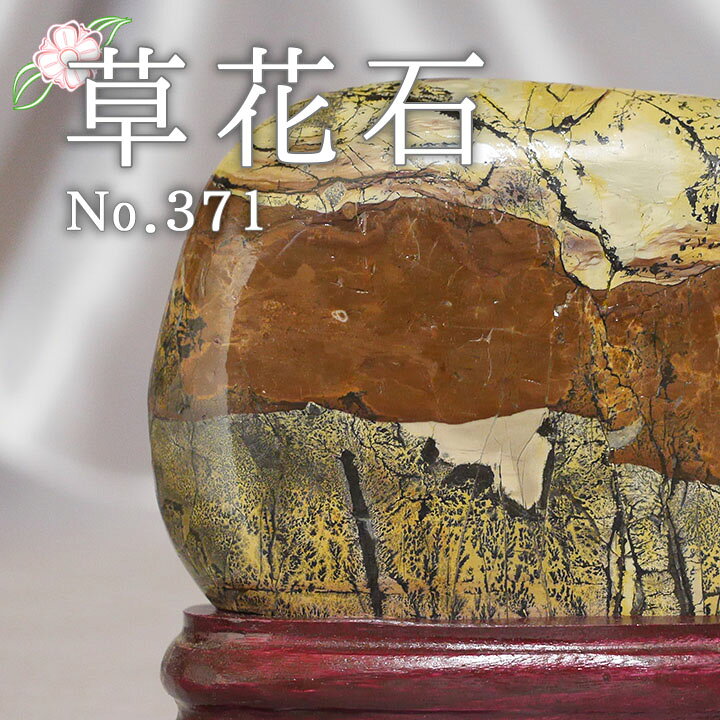 楽天市場】草花石 No.371 観賞用 鉱石 天然 天然石 原石 インテリア 