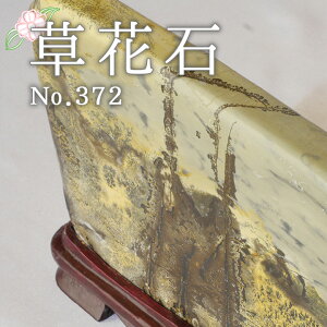 _SSPT5{420`111:59^ Ԑ No.372 Ϗܗp z VR VR  CeA  肢 p[Xg[ Xs`A  sN`[Xg[