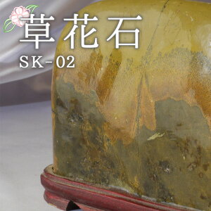 _SSPT5{420`111:59^ Ԑ SK-02 Ϗܗp z VR VR  CeA  肢 p[Xg[ Xs`A  sN`[Xg[