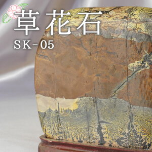 _ԌPT5{420`111:59^ Ԑ SK-05 Ϗܗp z VR VR  CeA  肢 p[Xg[ Xs`A  sN`[Xg[