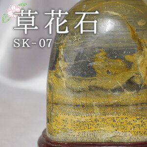 _SSPT5{420`111:59^ Ԑ SK-07 Ϗܗp z VR VR  CeA  肢 p[Xg[ Xs`A  sN`[Xg[