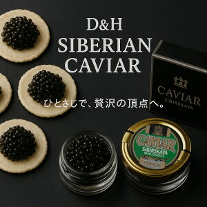 yzDH TCxALrA 20gb{hCcYEgpbテjo[TKibMtgEp[eB[ɍœK