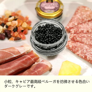 yӂ` v`Mtg zD&Hcaviar@ zCgX^[WLrA10gLrA@ Mtg a v[g  Ԃ ①