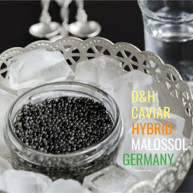 【キャビア専用店のおおすすめ商品】フレッシュハイブリッドキャビア　無添加 純正キャビア 4年 熟成 フレッシュハイブリッド100g【父の日　ギフト　プレゼント　お返し　お中元　お歳暮　パーティ】