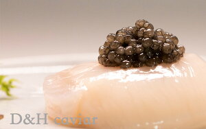 D&H caviartbVIV[gLrA50g
