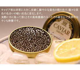 D&H　caviar　フレッシュキャビア　ドイツ産　オショートルキャビ100g