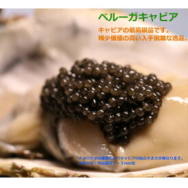 【数量限定　キャビアの王様】D&H caviar Beluga ベルーガキャビア　 ドイツ産　希少珍品　最高級ランクキャビア フレッシュ ベルーガキャビア 50g【父の日　ギフト　プレゼント　お返し　お中元　お歳暮　パーティ】