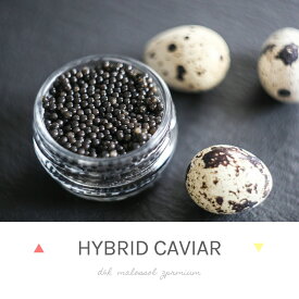 D&H caviarプレミアムハイブリッドキャビア　ドイツ産純正　20g×2個セット