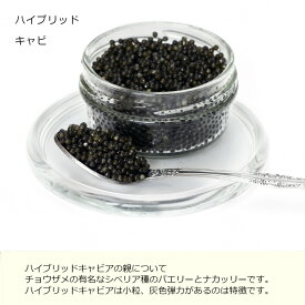 D&H Hybrid caviar ドイツ産　D&H社　純正キャビア ハイブリドキャビア 20g