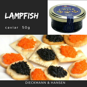 D&H vtBbVLrAijȂ@50g×120