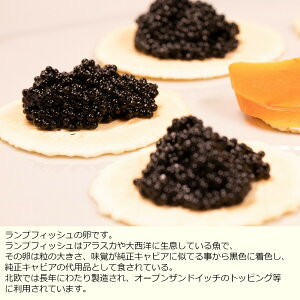 D&H vtBbVLrAij@@50g×12